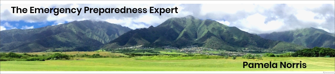 Pamela Norris's cover banner