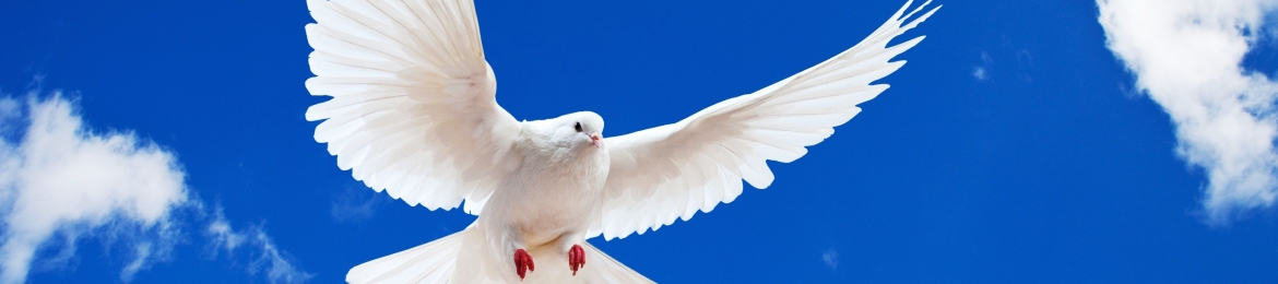 Pastor Engr Ogechi Emeka Okwuosa's cover banner