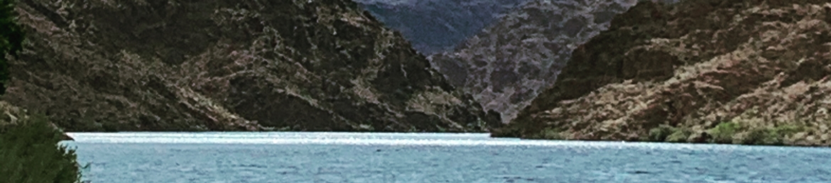 Pat Walter's cover banner