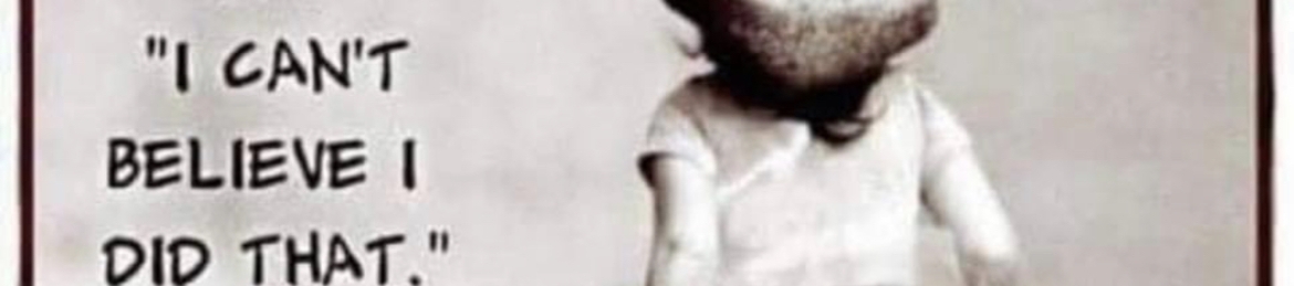 Paul and Eilene Thedinga's cover banner