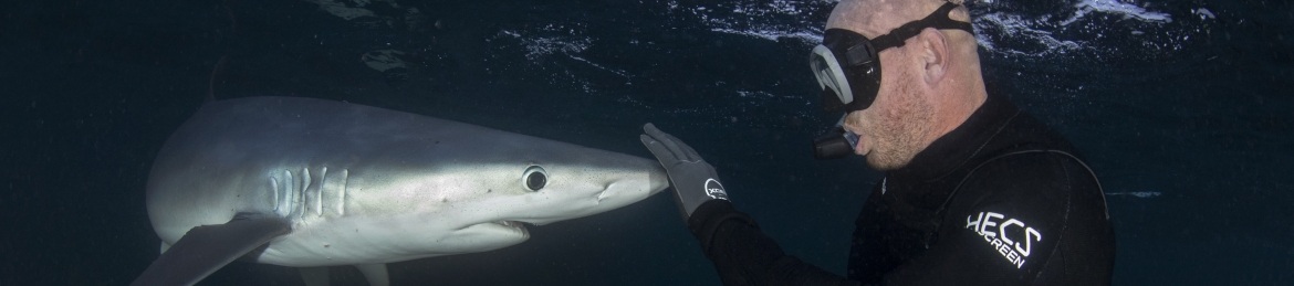 Paul de Gelder's cover banner