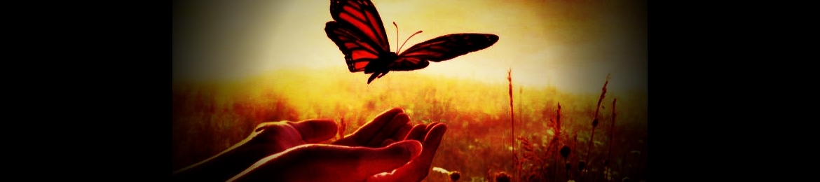 Paula Bowden's cover banner