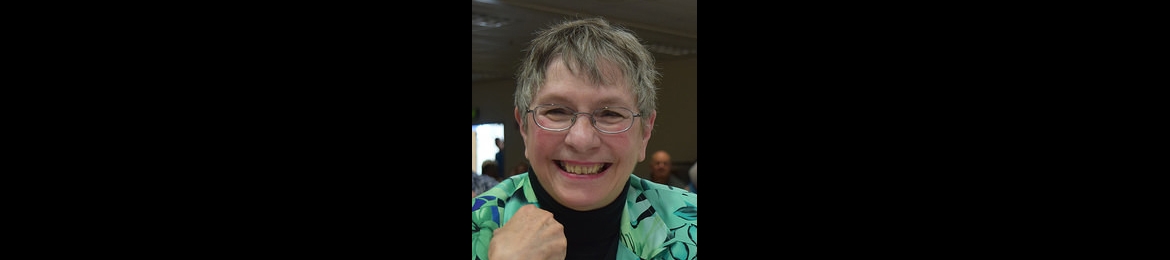 Phyllis Harmon's cover banner