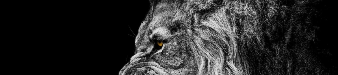 Pierre Dean's cover banner