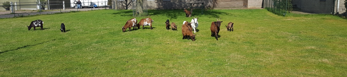 Poonam Sharma's cover banner