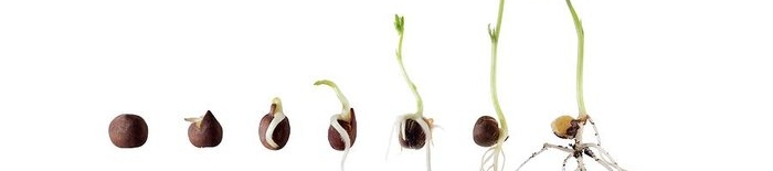 Priya Uttarkar's cover banner