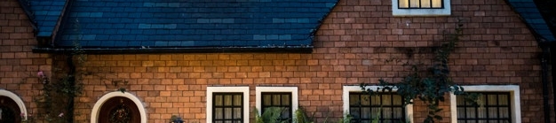 Prof. Luis Salas Rivera's cover banner