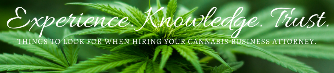 Rachael Ardanuy's cover banner