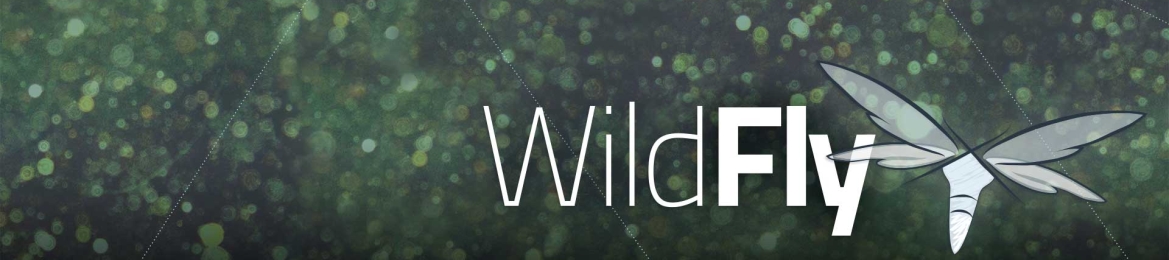 Ranabir Chakraborty's cover banner