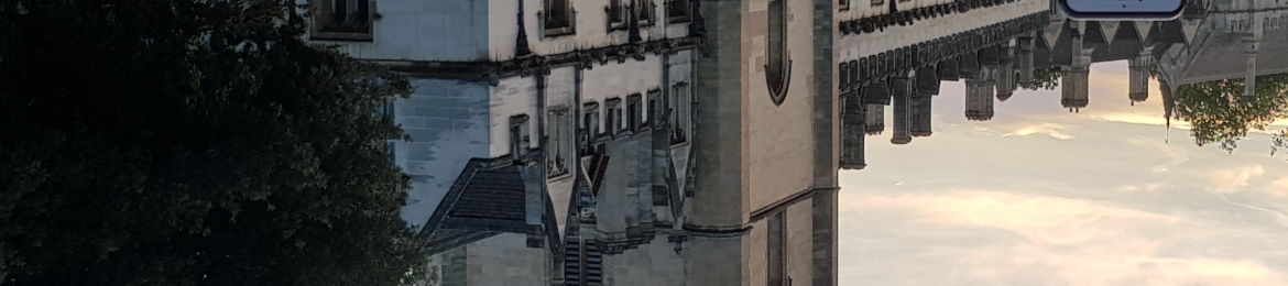 Raphael Cohen-Almagor's cover banner