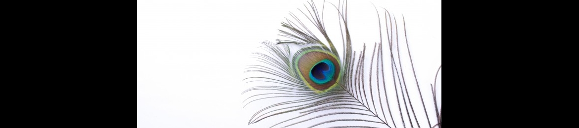 Rebecca Heiss's cover banner