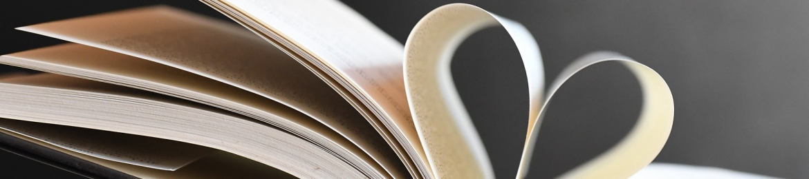 Rebecca Rohkohl's cover banner