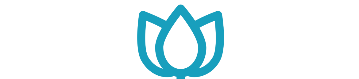 Rebecca Scott's cover banner