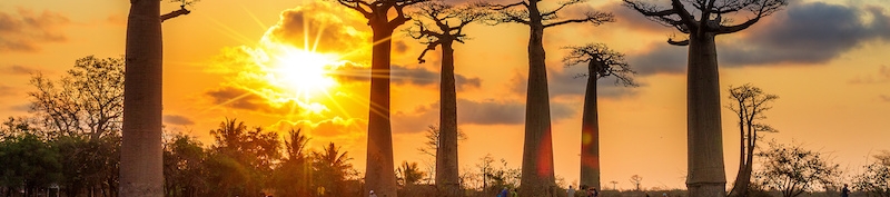 Rev Dele's cover banner