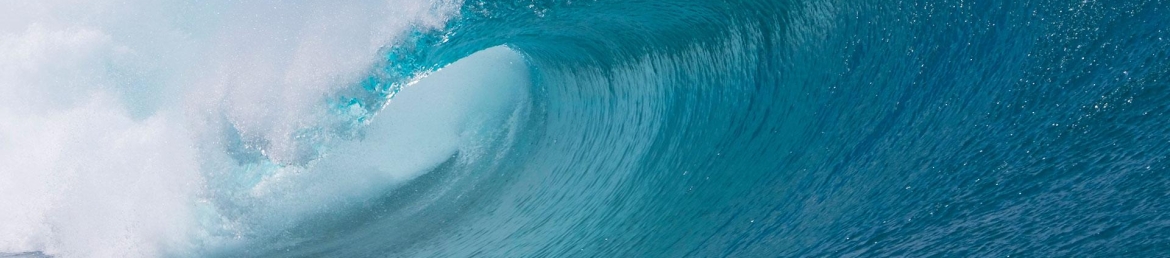 Riley Kehoe's cover banner