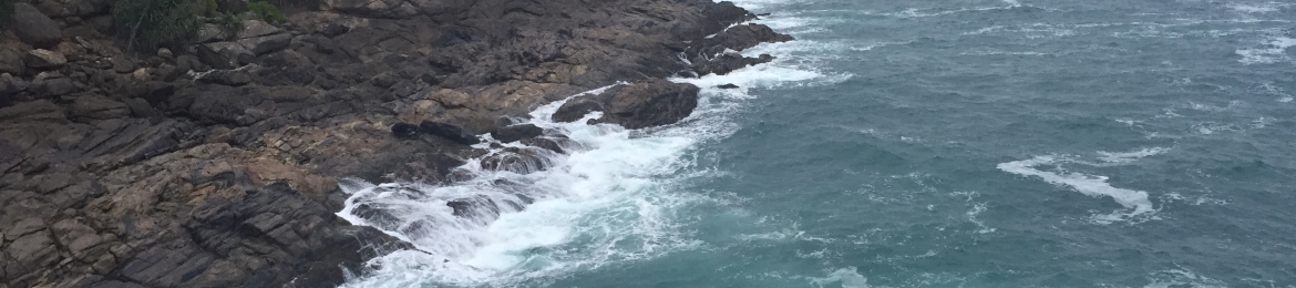 Rita Devassy's cover banner