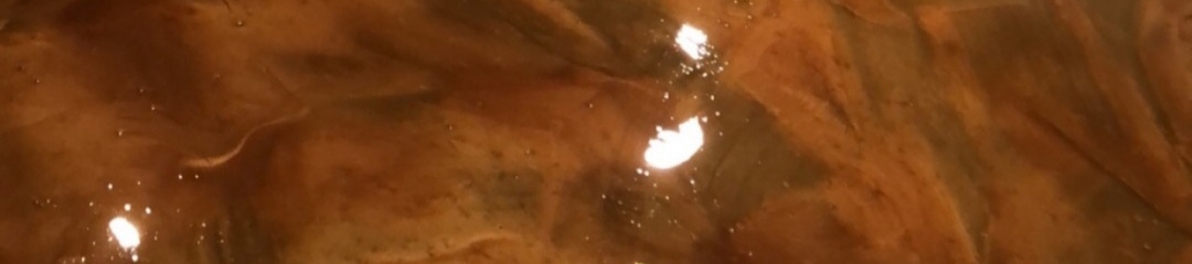 Robert Davis's cover banner