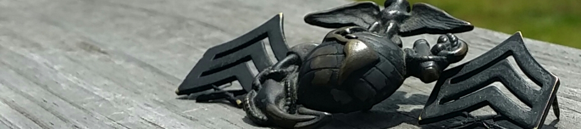 Robert Helin's cover banner