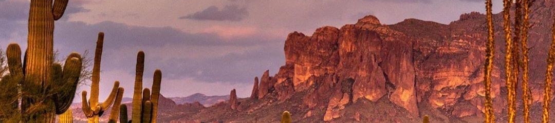 Robert Schmus's cover banner