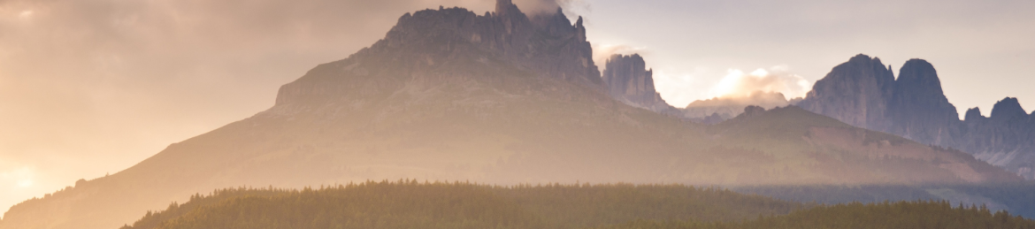 Robin Lovell's cover banner