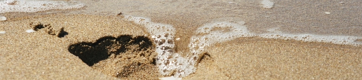 Dr Ronald F Pol's cover banner