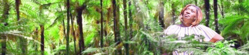 Rose Nelson's cover banner