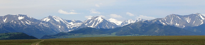 Ryan Goodman's cover banner