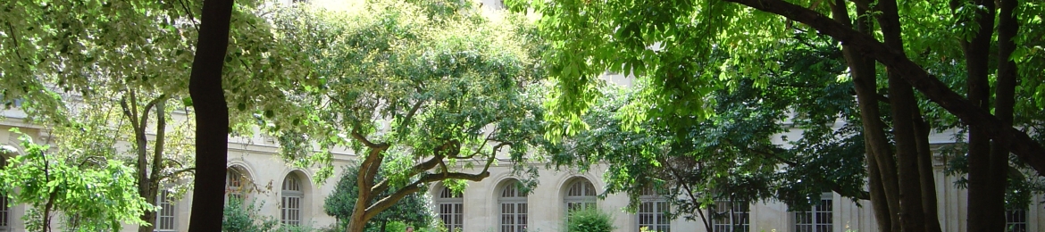 Sami Biasoni's cover banner