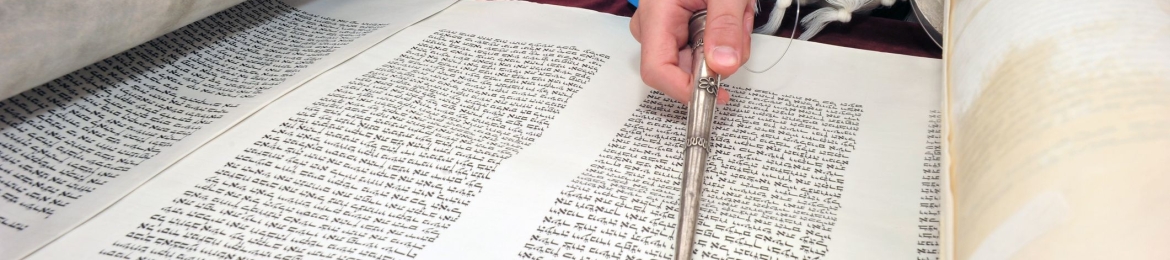 Samuel Waldman's cover banner