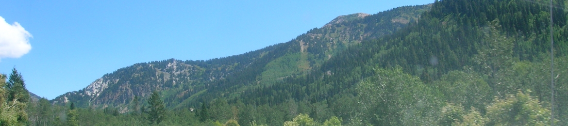 Sara K.  Vogeler, Founder and Director, The NeuroMuscular Center, Inc.'s cover banner