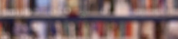 Sara Evans's cover banner