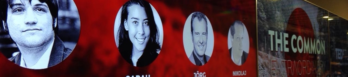 Sarah Fleischer's cover banner