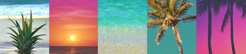 Sarah Pritula's cover banner