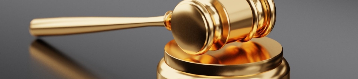 Schulman Bhattacharya's cover banner