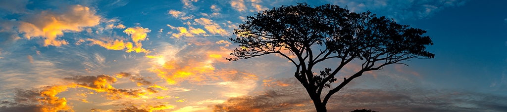 Scott Clazie's cover banner