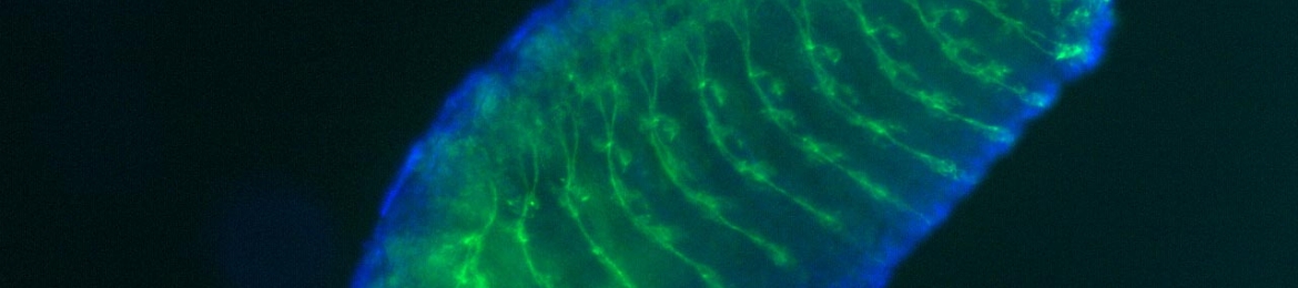 Seth Jones's cover banner