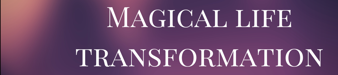 Shadi Amiri's cover banner