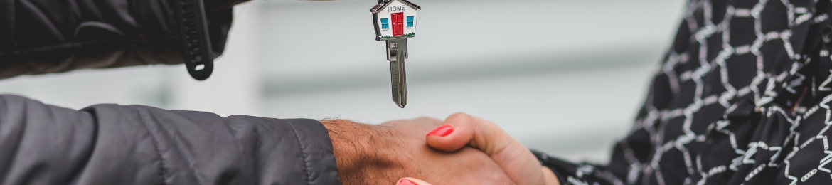 Shahrad Rodi Lameh's cover banner