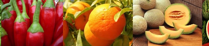 Shane Comiskey's cover banner