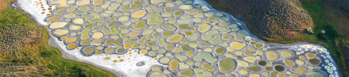 Shawana Patterson's cover banner