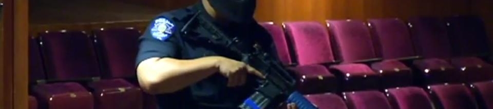 Shawn Nimau's cover banner