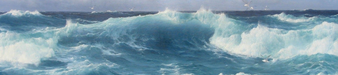 Shaye Hirsch's cover banner