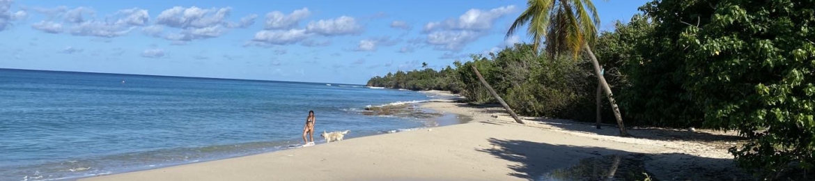 Shayne Halls's cover banner