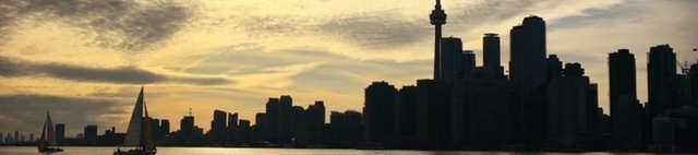 Shelly Meadows's cover banner