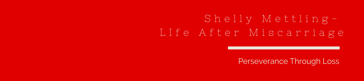 Shelly Mettling's cover banner