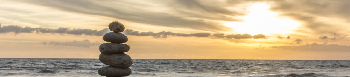 Shubham Bhattacharya's cover banner