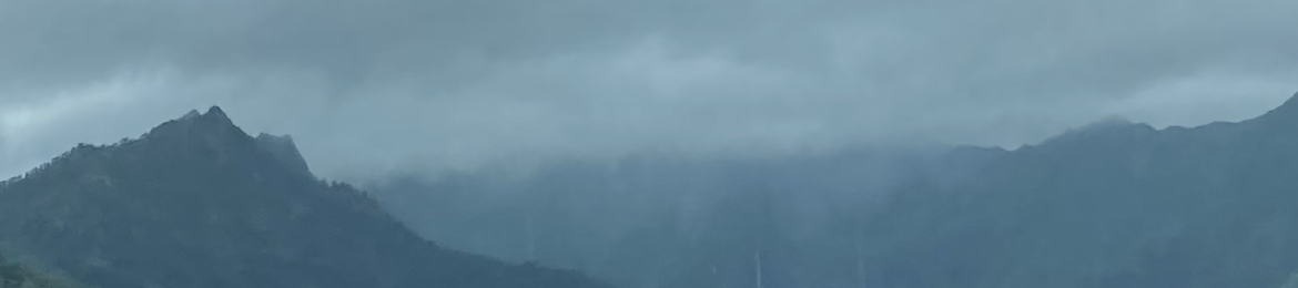 Sienna Wagnon's cover banner