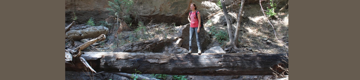 Sonja Dewing's cover banner