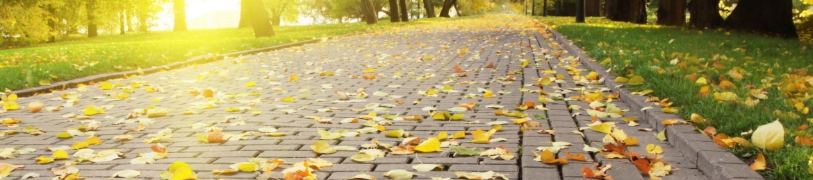 Stein Soelberg's cover banner