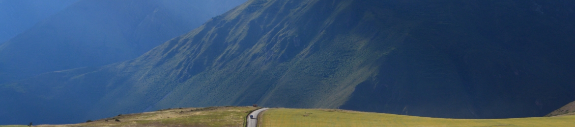 Stephanie Bravo's cover banner